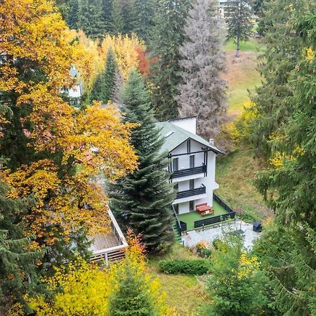 Family Treez Premium Apartments Poiana Brasov Luaran gambar