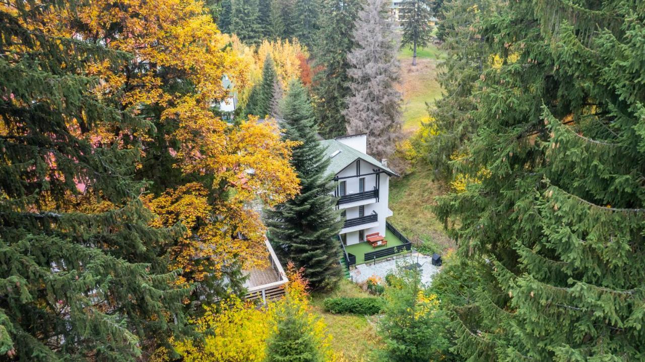 Family Treez Premium Apartments Poiana Brasov Luaran gambar